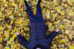 333811bf-acc4-4e58-a4af-a937f7e37741