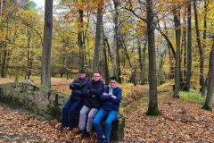 b8769786-b83f-478d-ba4b-78c01865bb1a-1